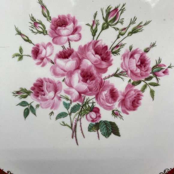 James Kent dinner plate red band, hand painted roses, gold details VTG 50's UK - Picture 7 of 10